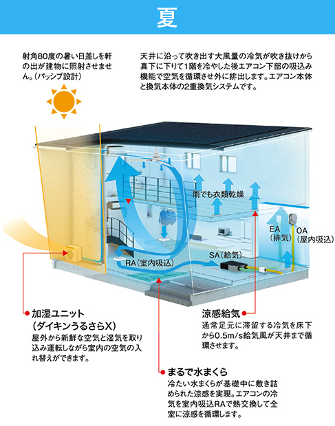 導入効果 夏